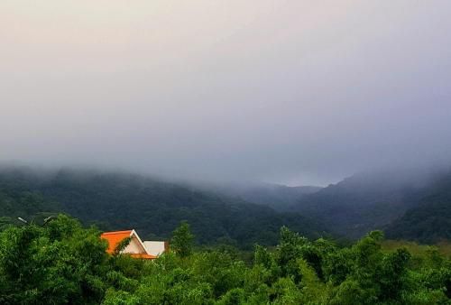 صورة الفندق 6