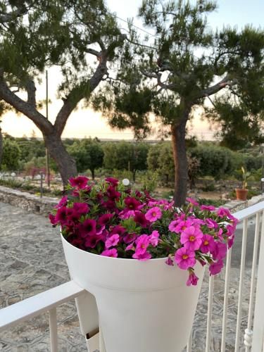 صورة الفندق 1