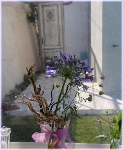 صورة الفندق 13