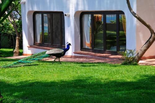 Hotel Photo 22