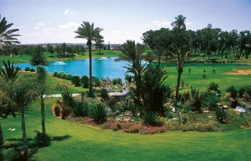 صورة الفندق 21