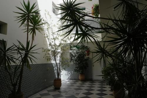 صورة الفندق 2