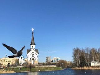 Апартаменты с панорамным видом