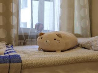 Fluffy Apartment