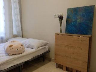 Fluffy Apartment