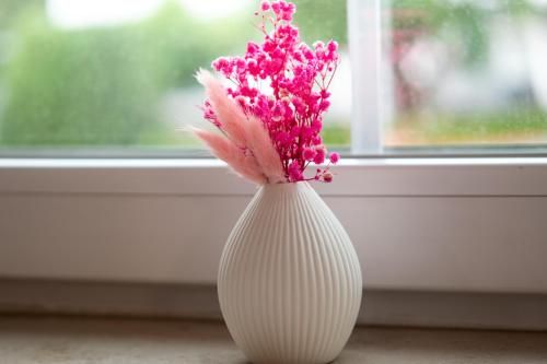 صورة الفندق 19