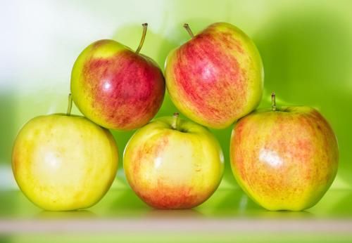 صورة الفندق 24