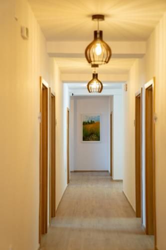 صورة الفندق 21