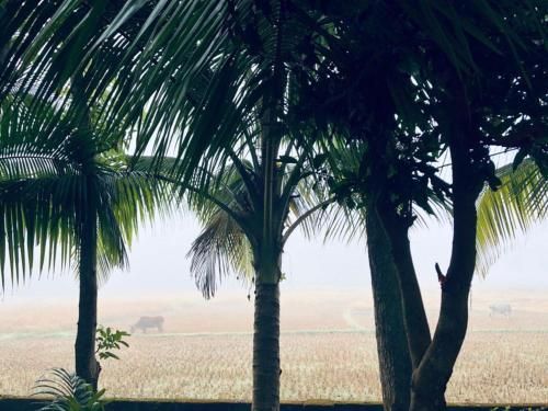 صورة الفندق 3