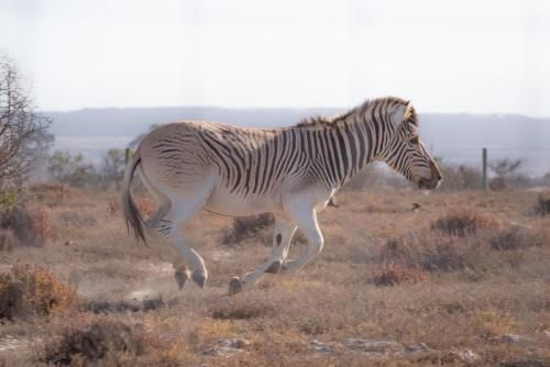 صورة الفندق 2