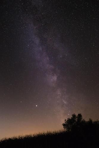 صورة الفندق 5