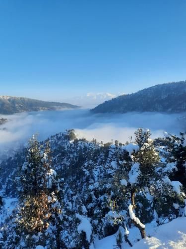 صورة الفندق 5