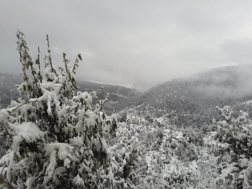 صورة الفندق 8
