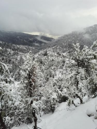 صورة الفندق 9