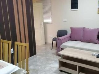 Hotel pic Apartman Netra