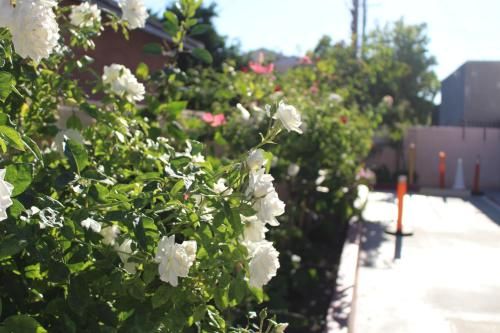صورة الفندق 13