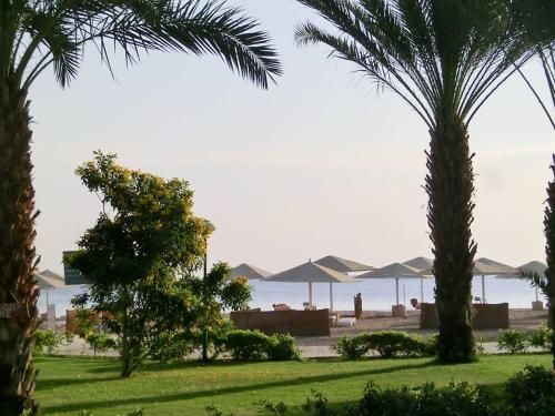 صورة الفندق 1