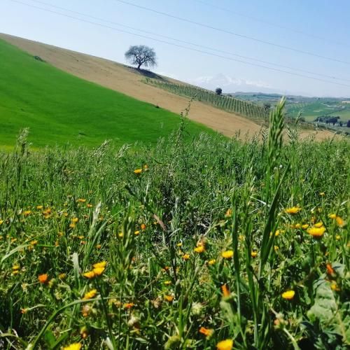 صورة الفندق 6