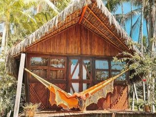 Hotel pic Art Jungle Eco Lodge