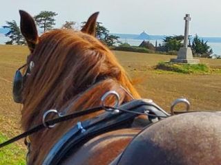 Фото отеля Chez Jollyjune Ferme Equestre des Courlis, à moins d\'une heure du Mon