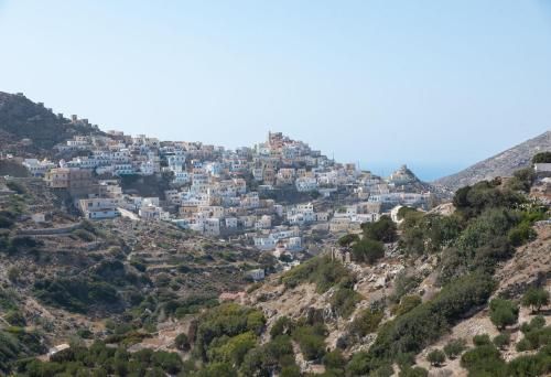 صورة الفندق 24