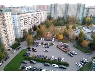 Апельсиновый рай