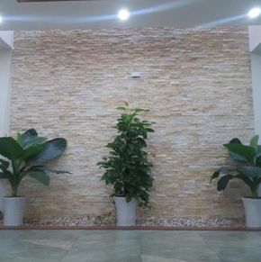 NearBy Hotel