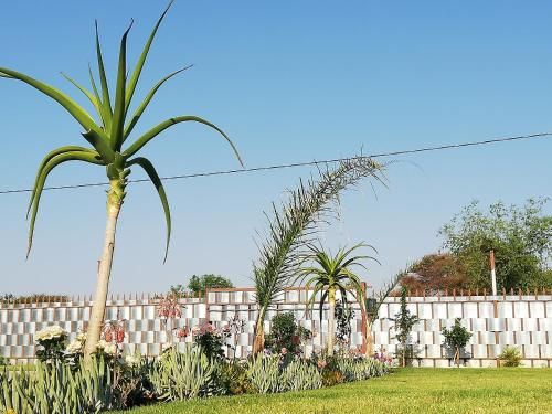 صورة الفندق 9