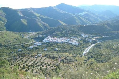 صورة الفندق 1