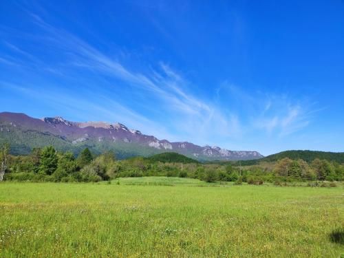 صورة الفندق 8