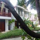 Hotel photo Manoha Villa