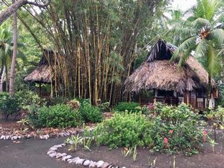 Фото отеля Cabinas Los Cocos