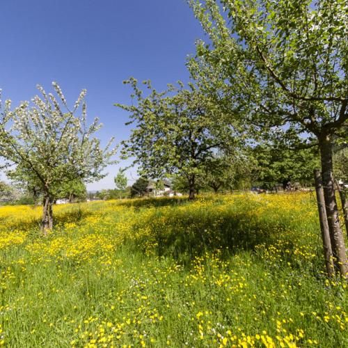 صورة الفندق 2