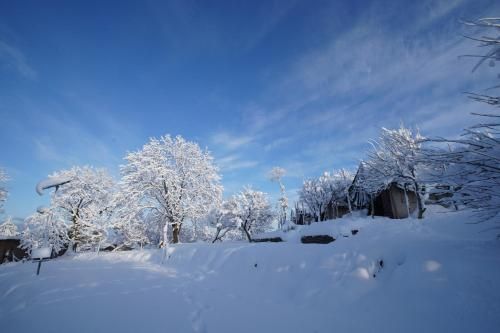 صورة الفندق 4