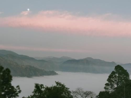 صورة الفندق 12