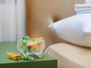 Отель Слонъ