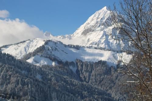 صورة الفندق 8