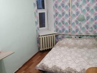 Spb hostel-2