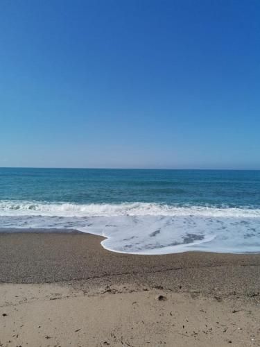 صورة الفندق 24