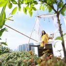 Фото отеля Cherry apartment - Thao Dien Centre