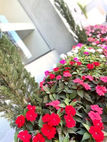 صورة الفندق 13