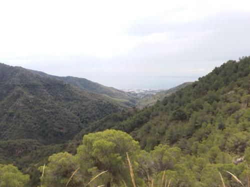 صورة الفندق 3