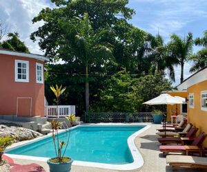 The Blue Orchid Montego Bay Jamaica