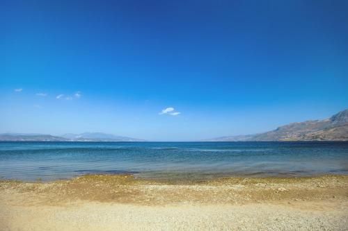 صورة الفندق 4