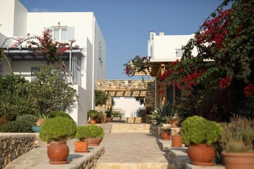 صورة الفندق 11