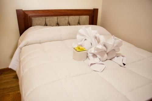 صورة الفندق 21