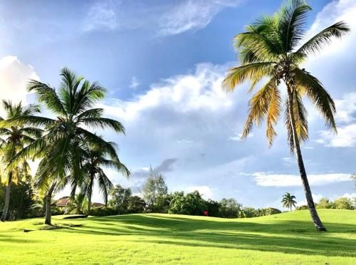 Villa Tropical en Punta Cana