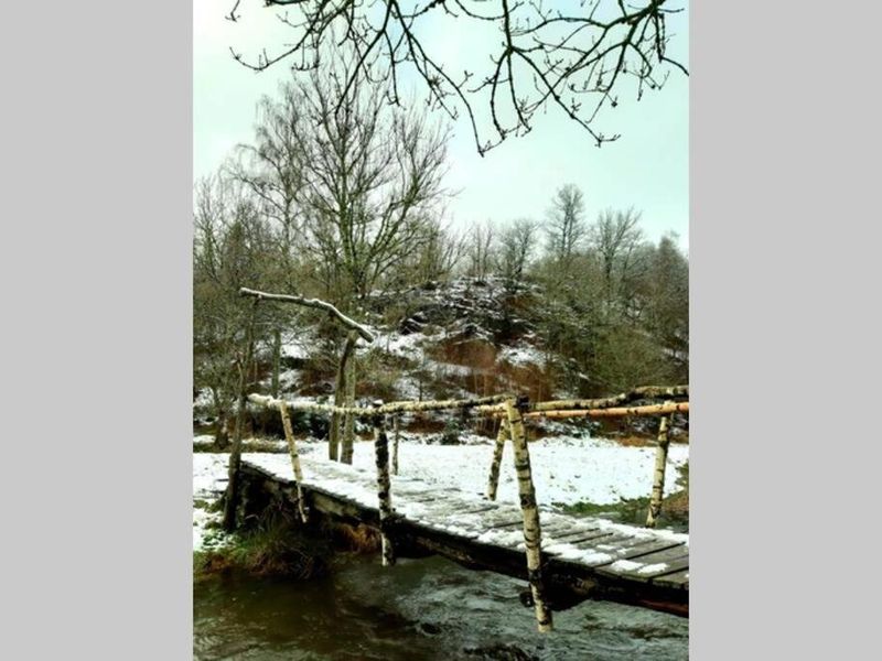 صورة الفندق 4
