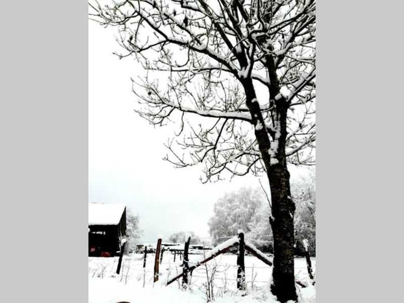 صورة الفندق 8