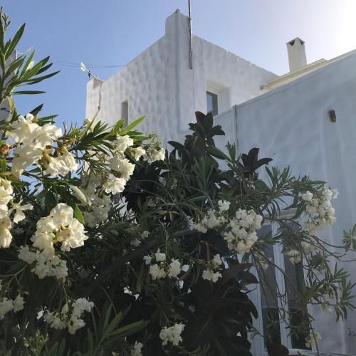صورة الفندق 2